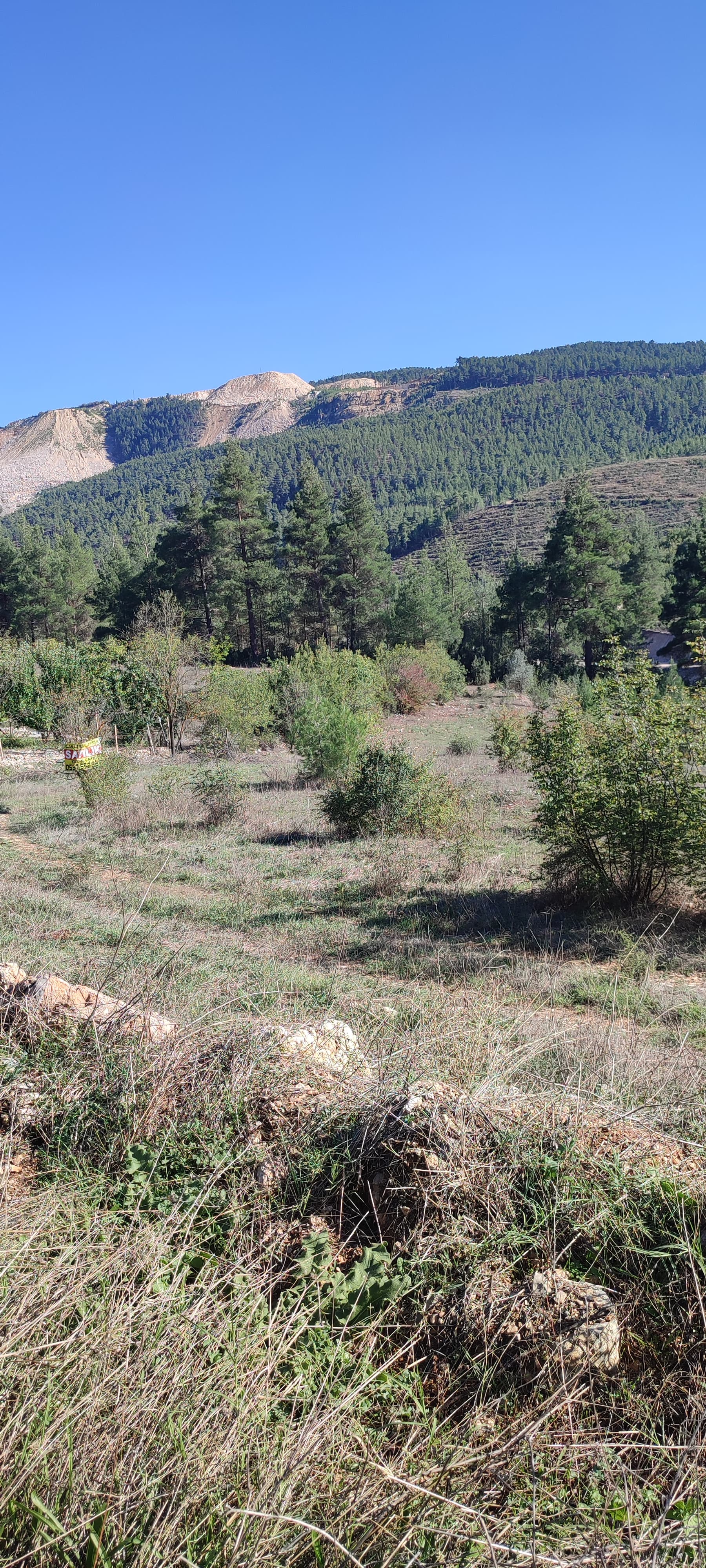 İlan Fotoğrafı